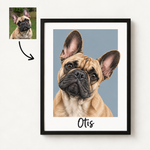 Box Realistic Pet Portrait