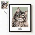 Box Realistic Pet Portrait