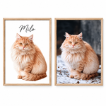 Realistic Pet Portrait